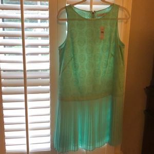 Ann Taylor LOFT Dress